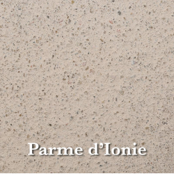 parme_dionie